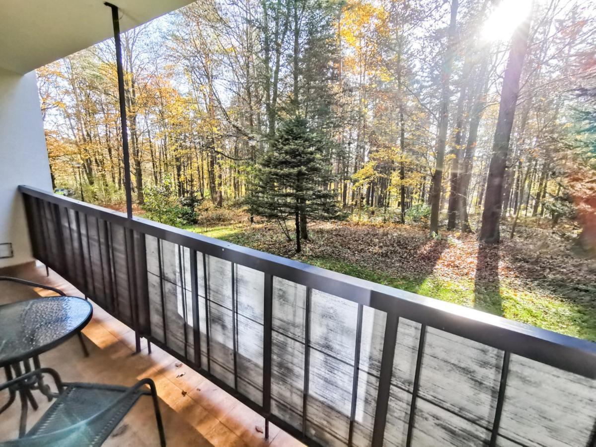 Apartament Z Widokiem Na Park 폴라니카-즈루이 외부 사진