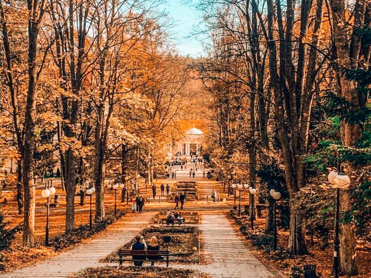 Apartament Z Widokiem Na Park 폴라니카-즈루이 외부 사진